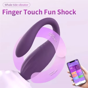 Remote Control Dildo
